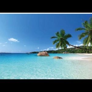 Meet your Posher, Alice